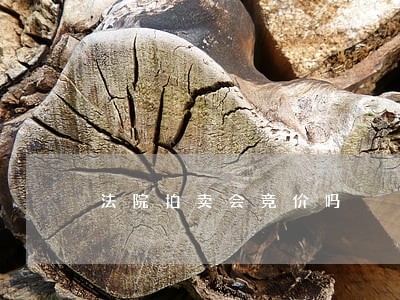 法院拍卖会竞价吗 法院拍卖会竞价吗