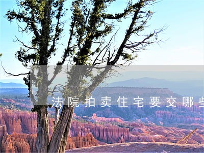 法院拍卖住宅要交哪些税 法院拍卖住宅要交哪些税