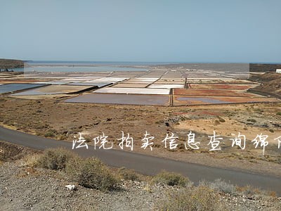 法院拍卖信息查询绵阳市安州区
