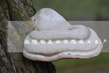 法院拍卖公司混凝土生产资质