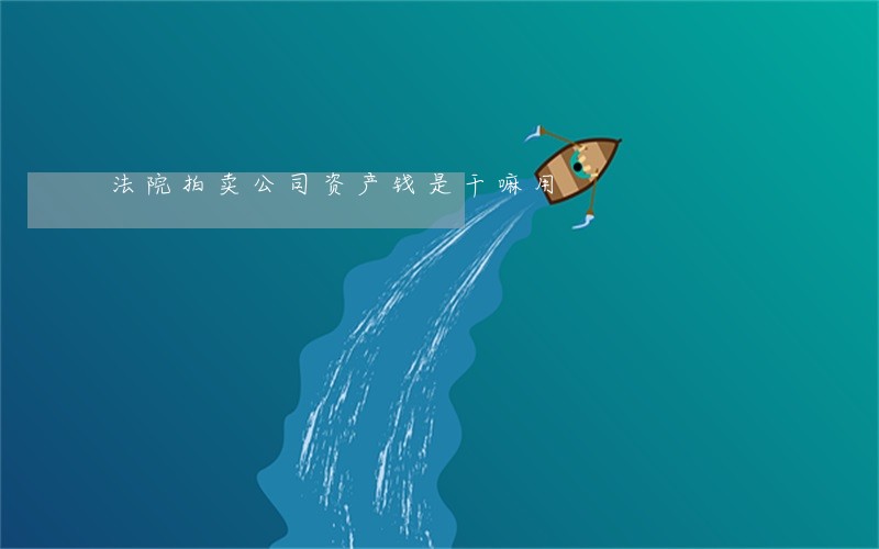 法院拍卖公司资产钱是干嘛用 法院拍卖公司资产钱是干嘛用