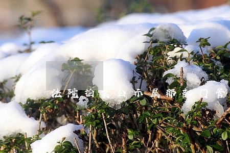 法院拍卖公示属那部门管的 法院拍卖公示属那部门管的