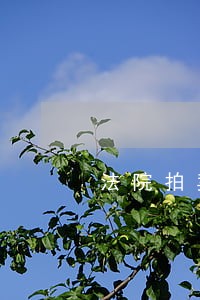 法院拍卖共有人的房产 法院拍卖共有人的房产