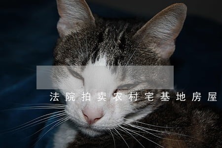 法院拍卖农村宅基地房屋失败 法院拍卖农村宅基地房屋失败