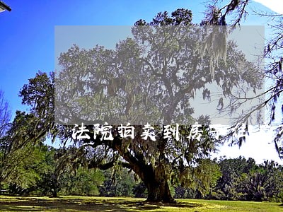 法院拍卖到房子住户不搬出 法院拍卖到房子住户不搬出