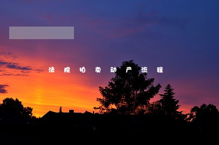 法院拍卖动产流程 法院拍卖动产流程
