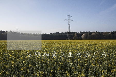 法院拍卖卫生用品厂房 法院拍卖卫生用品厂房