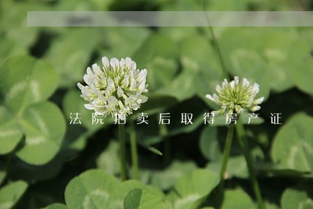 法院拍卖后取得房产证 法院拍卖后取得房产证