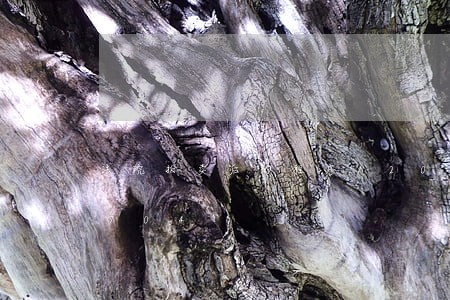 法院拍卖后的程序/2023031519704 法院拍卖后的程序/2023031519704