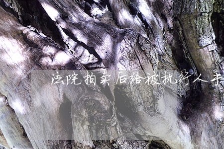 法院拍卖后给被执行人手续 法院拍卖后给被执行人手续