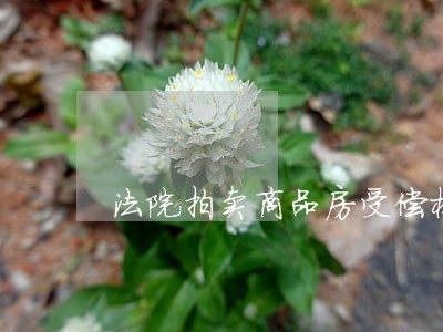 法院拍卖商品房受偿权 法院拍卖商品房受偿权