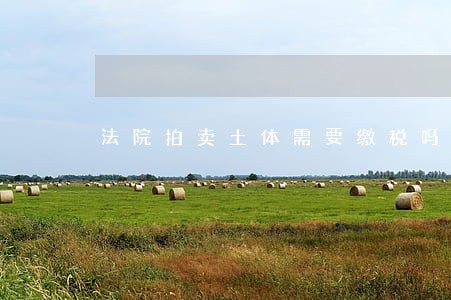 法院拍卖土体需要缴税吗 法院拍卖土体需要缴税吗