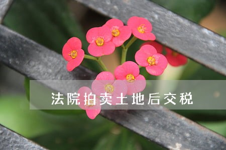 法院拍卖土地后交税 法院拍卖土地后交税
