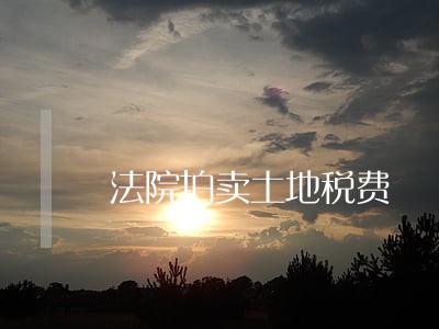法院拍卖土地税费 法院拍卖土地税费