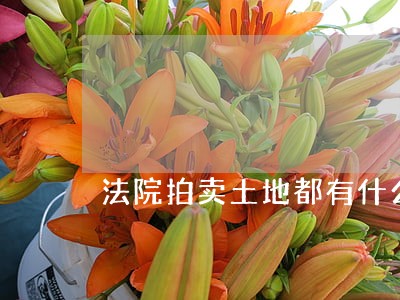 法院拍卖土地都有什么程序