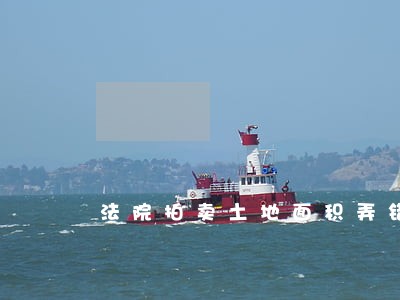 法院拍卖土地面积弄错去哪告 法院拍卖土地面积弄错去哪告