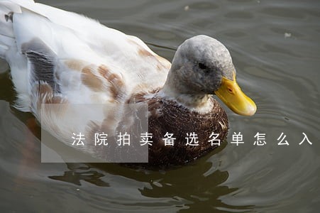 法院拍卖备选名单怎么入围 法院拍卖备选名单怎么入围