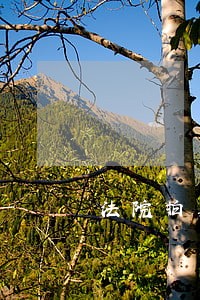 法院拍卖契税是多少 法院拍卖契税是多少