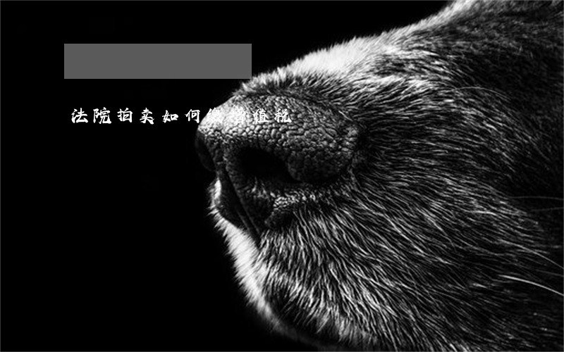法院拍卖如何缴增值税