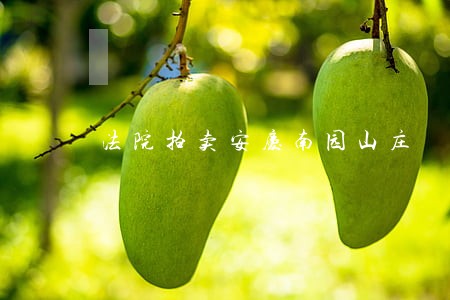 法院拍卖安庆南园山庄 法院拍卖安庆南园山庄