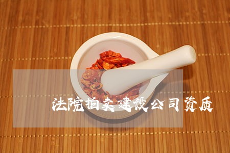 法院拍卖建设公司资质 法院拍卖建设公司资质