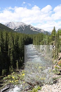 法院拍卖引众多网友竞拍 法院拍卖引众多网友竞拍