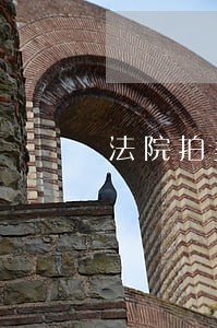 法院拍卖怎么处理 法院拍卖怎么处理