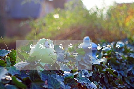法院拍卖悔拍后怎么办 法院拍卖悔拍后怎么办