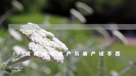 法院拍卖房产与房产证不否 法院拍卖房产与房产证不否