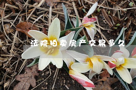 法院拍卖房产交易多久 法院拍卖房产交易多久