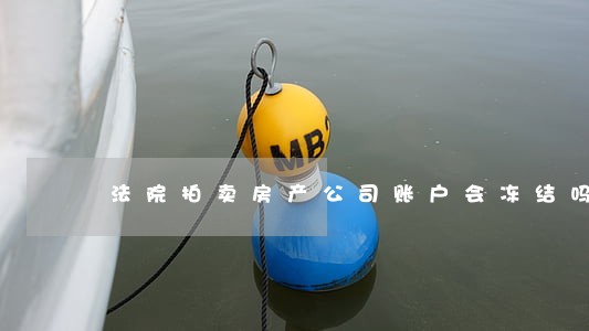 法院拍卖房产公司账户会冻结吗 法院拍卖房产公司账户会冻结吗