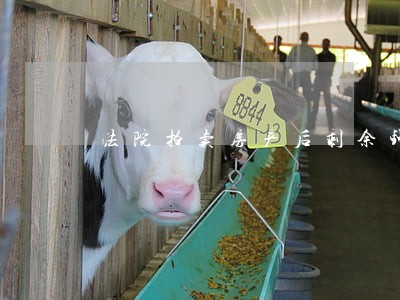 法院拍卖房产后剩余钱怎么办