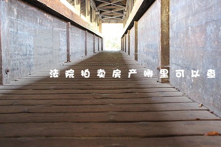 法院拍卖房产哪里可以查到 法院拍卖房产哪里可以查到