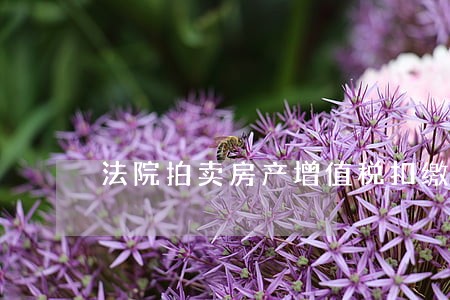 法院拍卖房产增值税扣缴 法院拍卖房产增值税扣缴