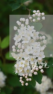 法院拍卖房产房屋 法院拍卖房产房屋