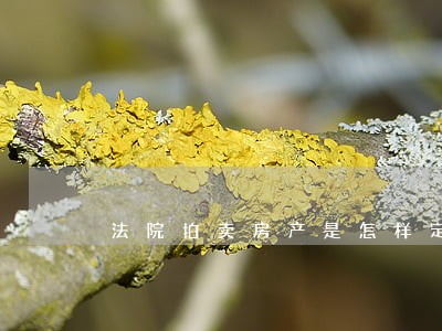 法院拍卖房产是怎样定价的