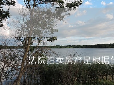 法院拍卖房产是根据什么拍卖的 法院拍卖房产是根据什么拍卖的