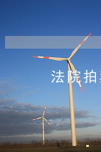 法院拍卖房产最新过户