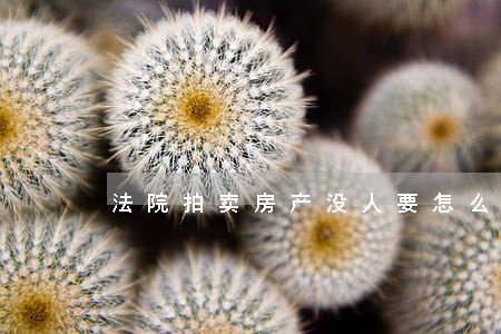 法院拍卖房产没人要怎么办
