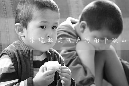 法院拍卖房产河南平顶山 法院拍卖房产河南平顶山