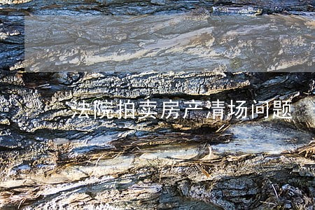法院拍卖房产清场问题 法院拍卖房产清场问题