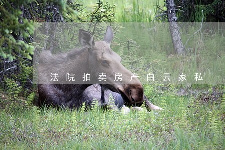 法院拍卖房产白云家私