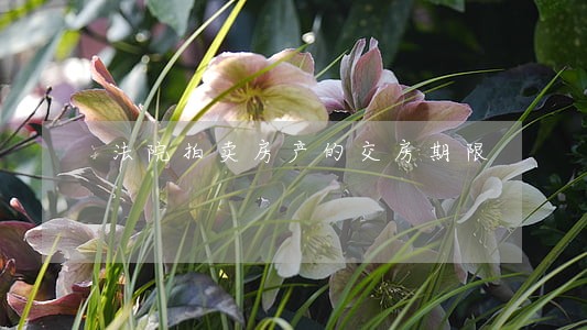 法院拍卖房产的交房期限