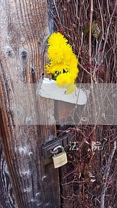 法院拍卖房产的时间规定 法院拍卖房产的时间规定