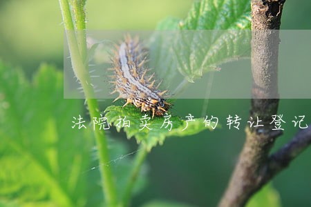 法院拍卖房产的转让登记手续