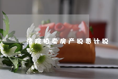 法院拍卖房产税费计税 法院拍卖房产税费计税