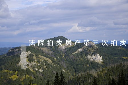 法院拍卖房产第三次拍卖的价格 法院拍卖房产第三次拍卖的价格