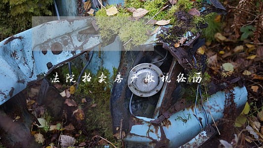 法院拍卖房产缴税经历 法院拍卖房产缴税经历