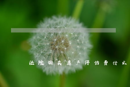 法院拍卖房产评估费什么时候交 法院拍卖房产评估费什么时候交
