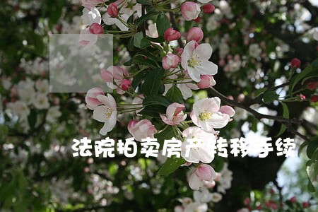 法院拍卖房产转移手续